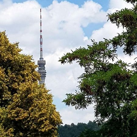 Ferienwohnung Elbhangblick - Fur 2 Personen Dresden Exteriör bild