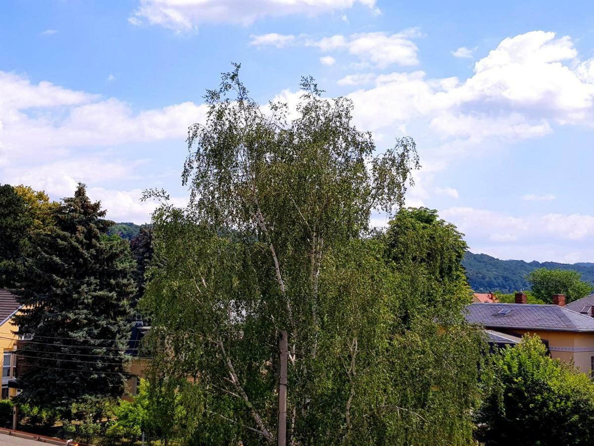 Ferienwohnung Elbhangblick - Fur 2 Personen Dresden Exteriör bild